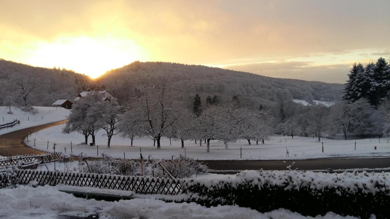 Landgasthof Gruener Baum Badenweiler Luaran gambar