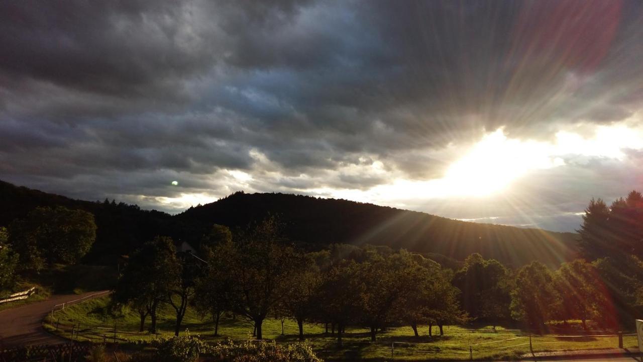 Landgasthof Gruener Baum Badenweiler Luaran gambar